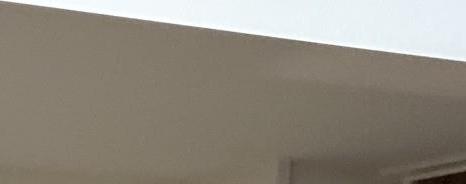 Photo #11