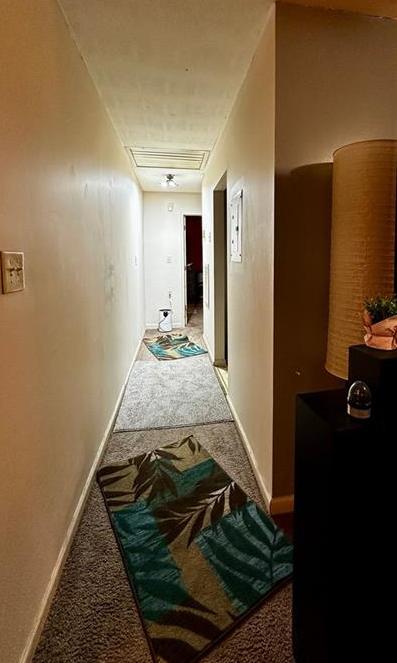 Photo #13