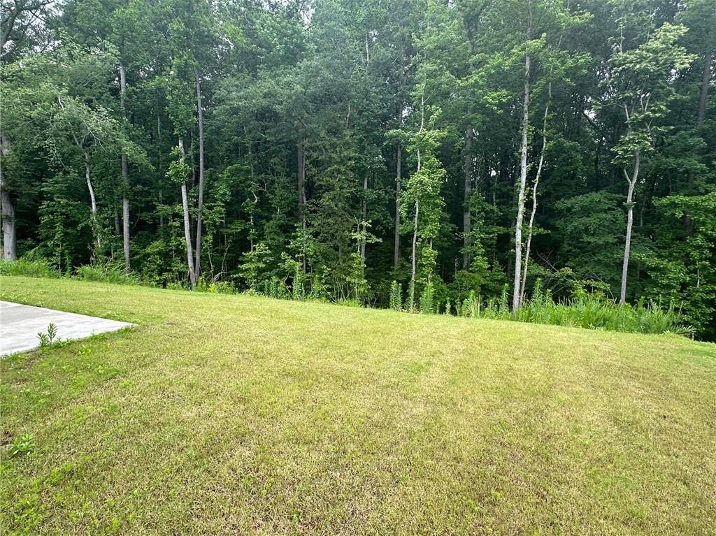 Photo #42