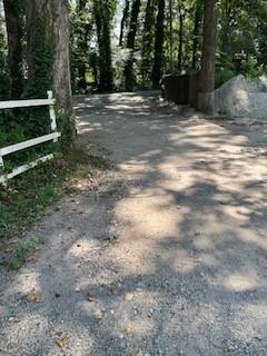 Photo #2