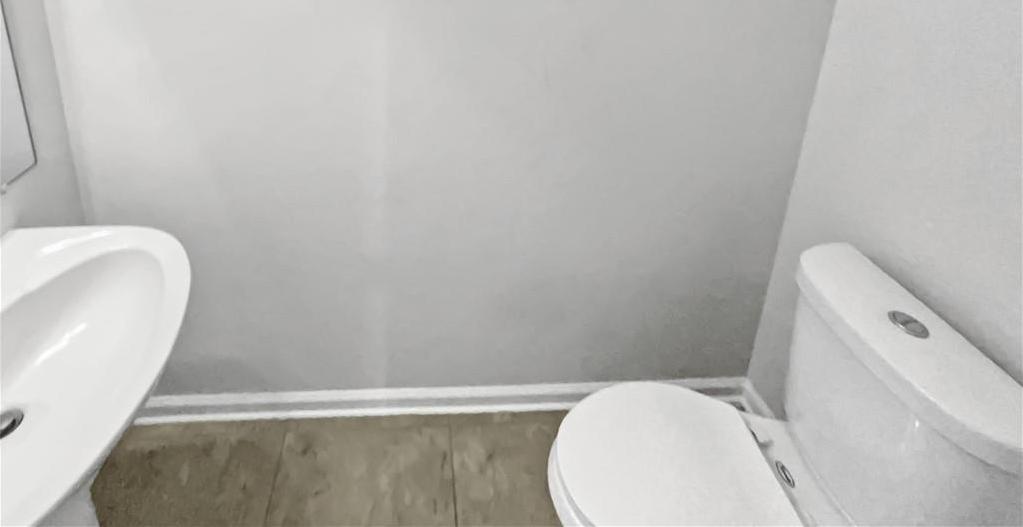 Photo #14