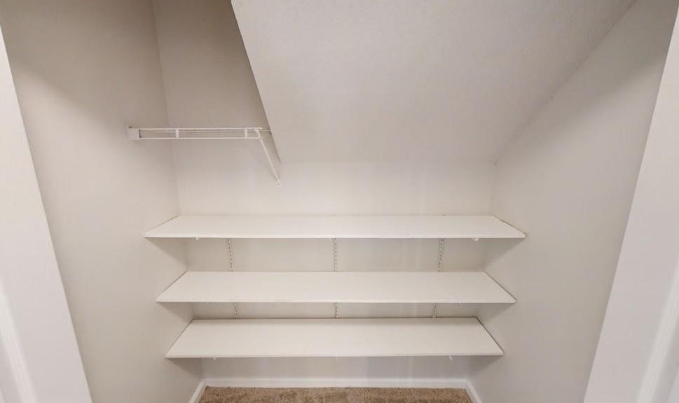 Photo #13