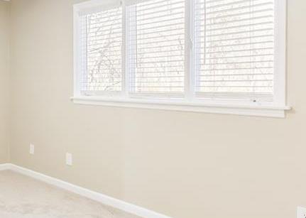 Photo #15
