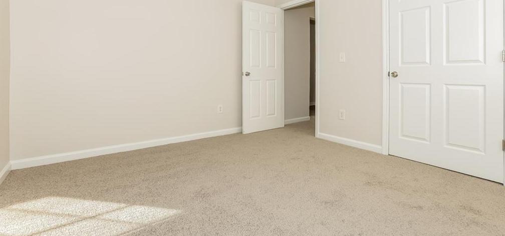Photo #6