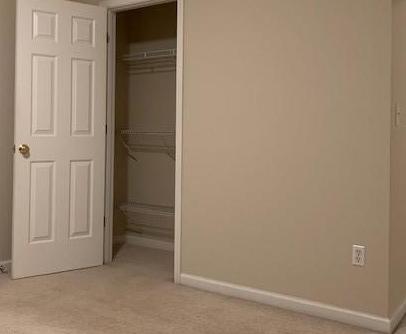 Photo #42
