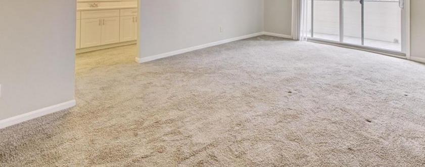 Photo #29