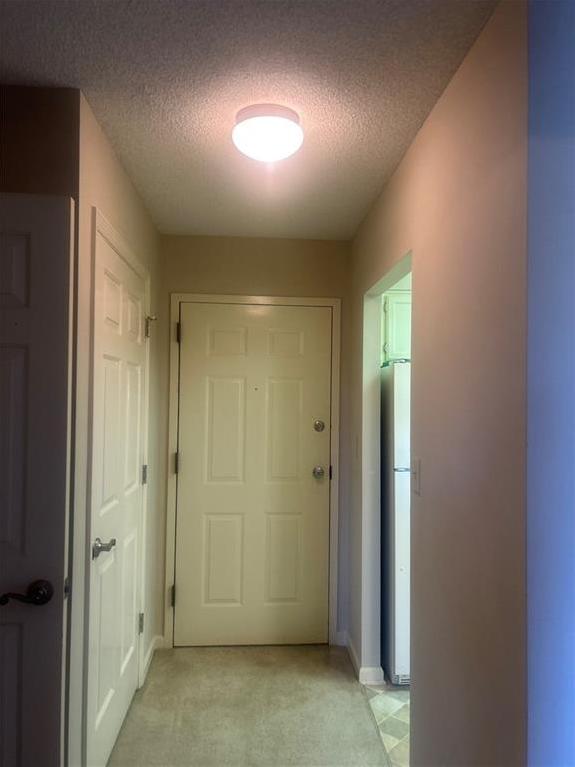 Photo #15