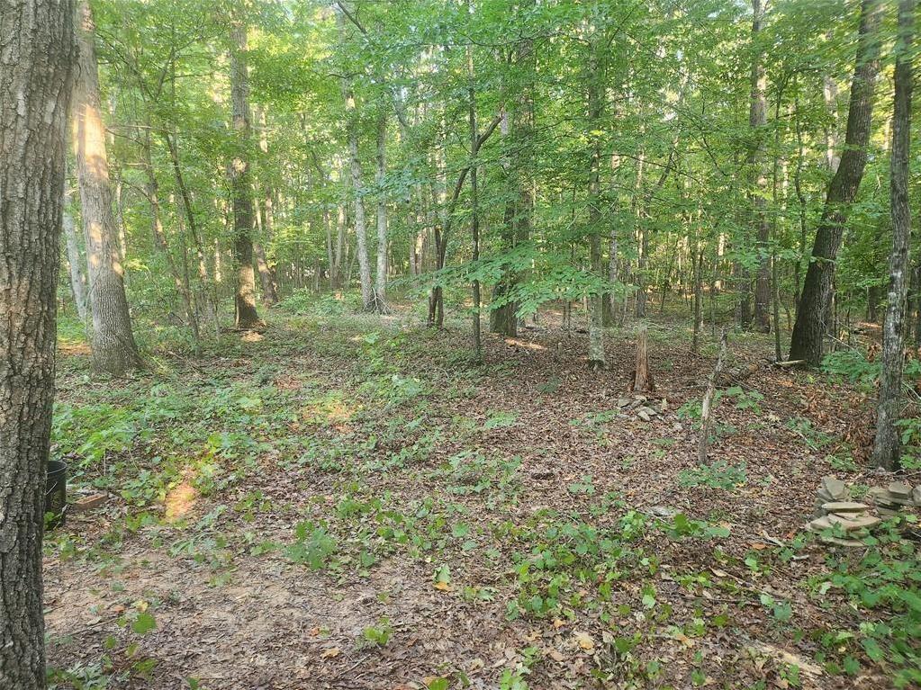 Photo #5