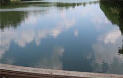 Photo #5