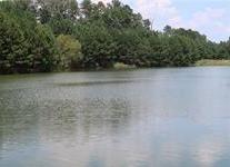 Photo #6