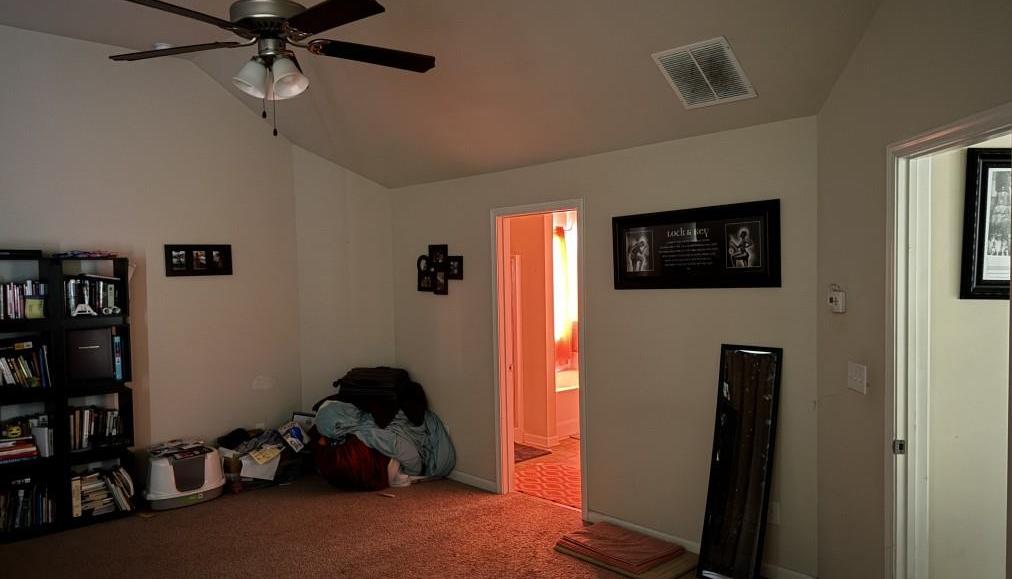 Photo #24