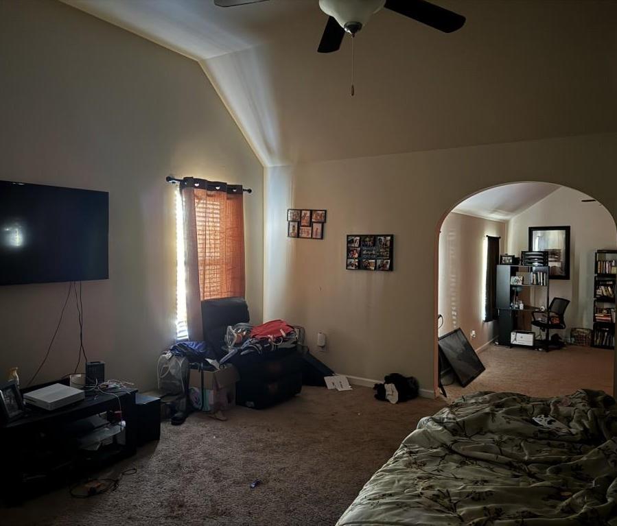 Photo #23