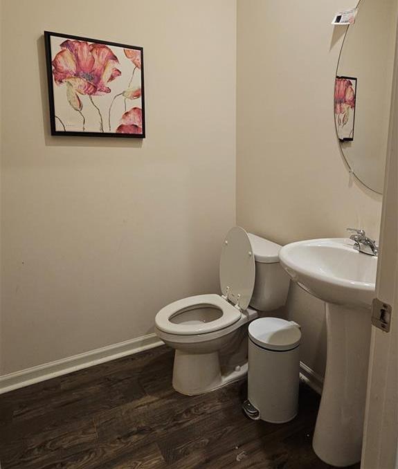Photo #11