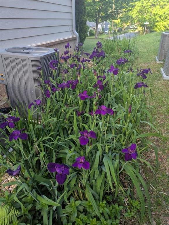 Photo #37