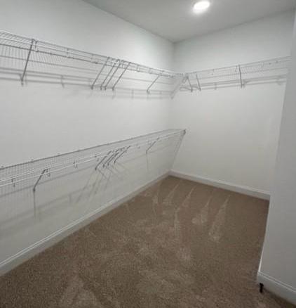 Photo #24