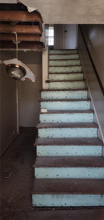 Photo #13