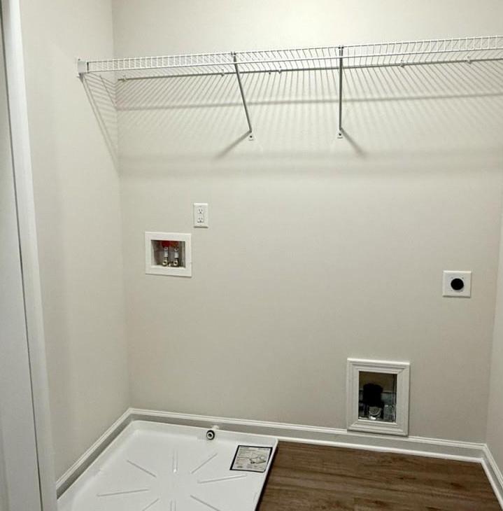 Photo #15