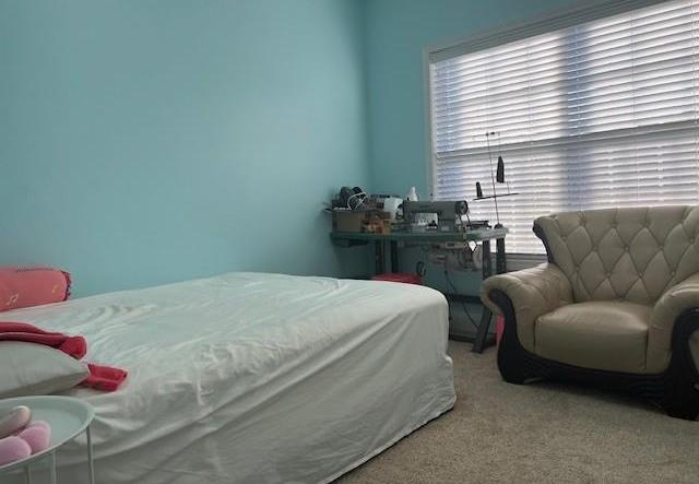 Photo #37