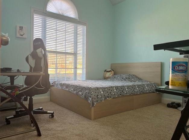 Photo #34