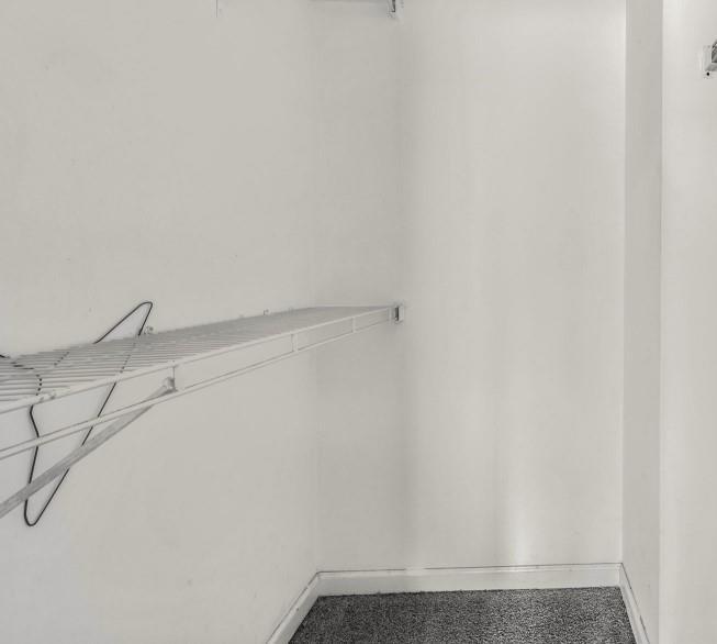 Photo #28