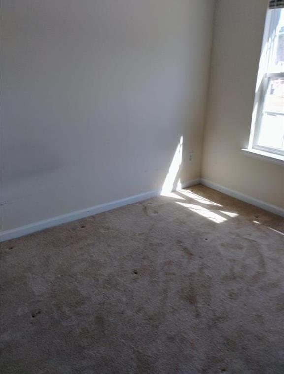 Photo #8