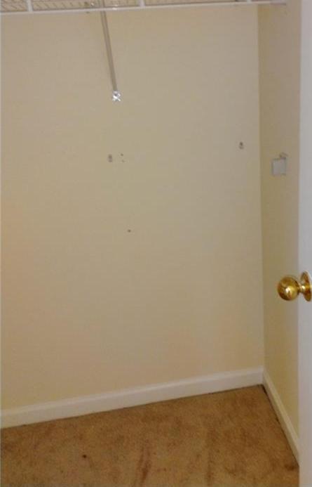 Photo #9