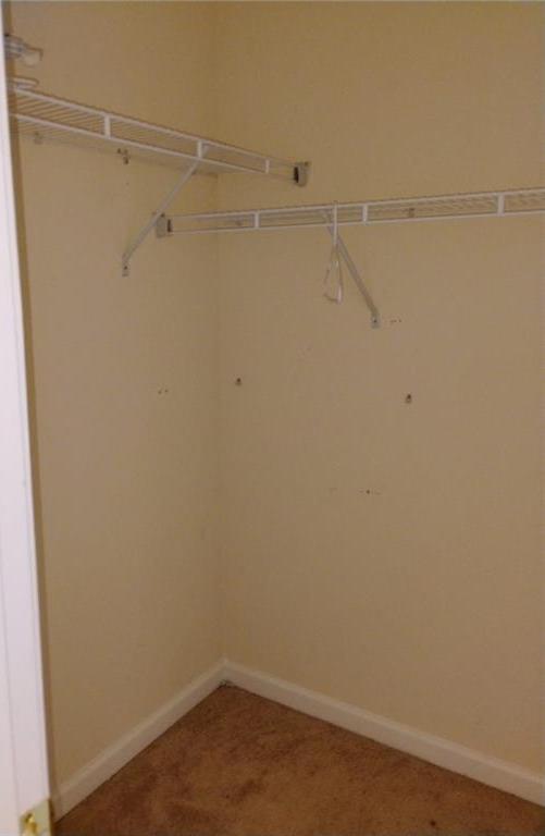 Photo #12