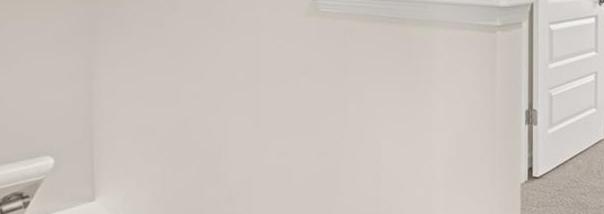 Photo #31