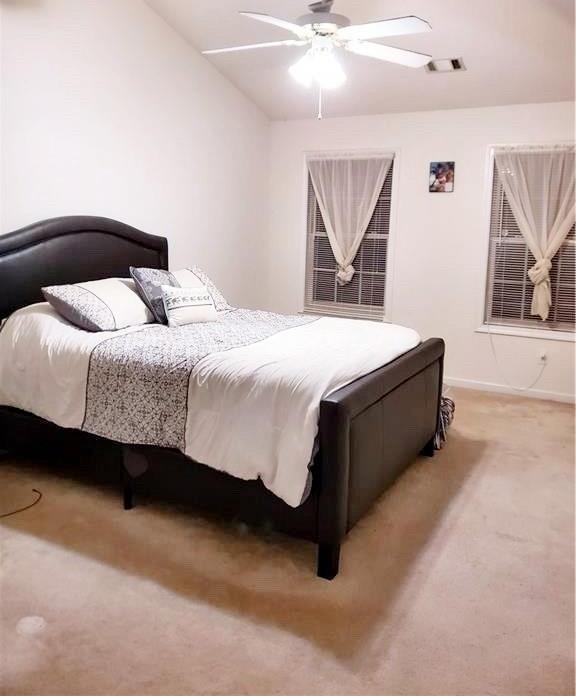 Photo #13