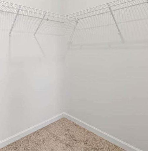 Photo #38