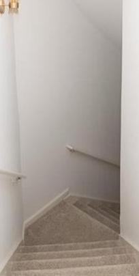 Photo #41