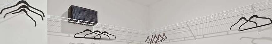 Photo #12