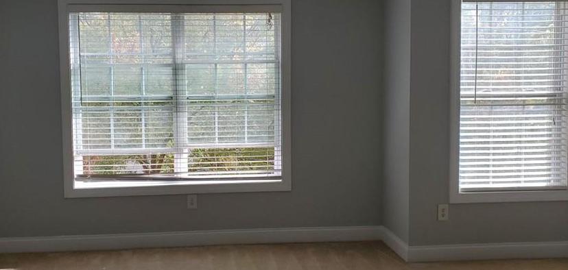 Photo #18