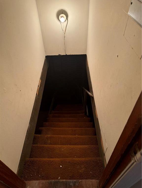 Photo #16