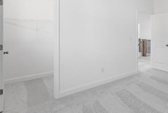 Photo #14