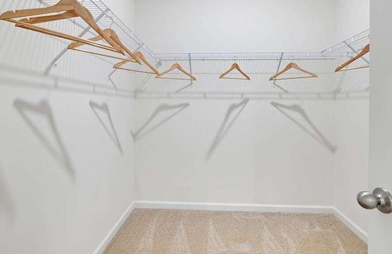 Photo #15