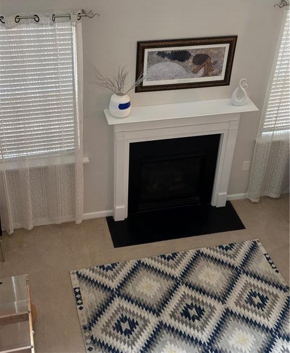 Photo #42