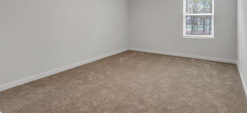 Photo #16