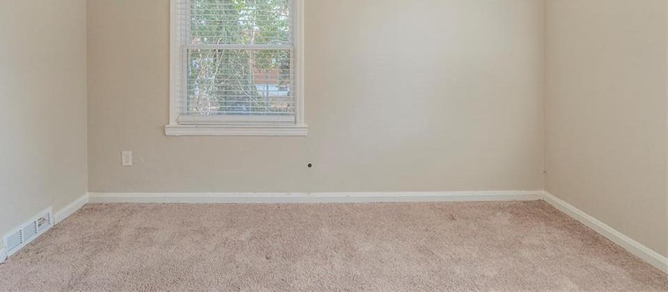 Photo #12