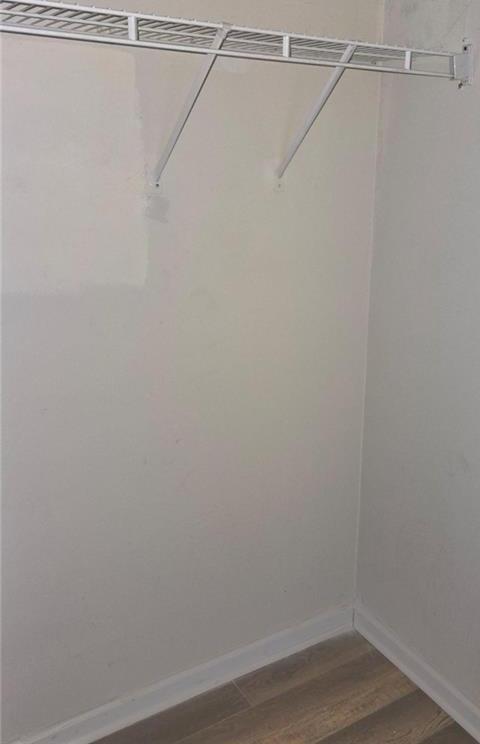 Photo #36