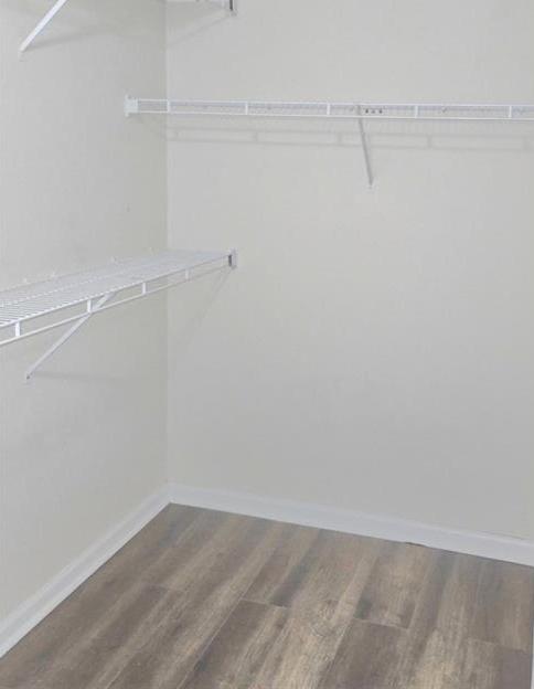 Photo #24