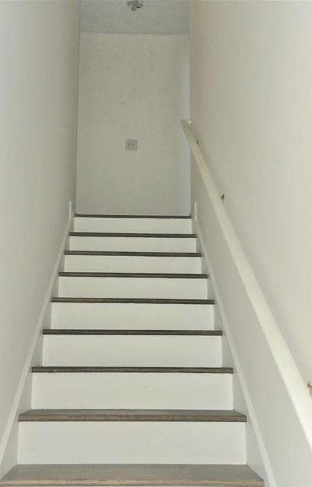 Photo #12