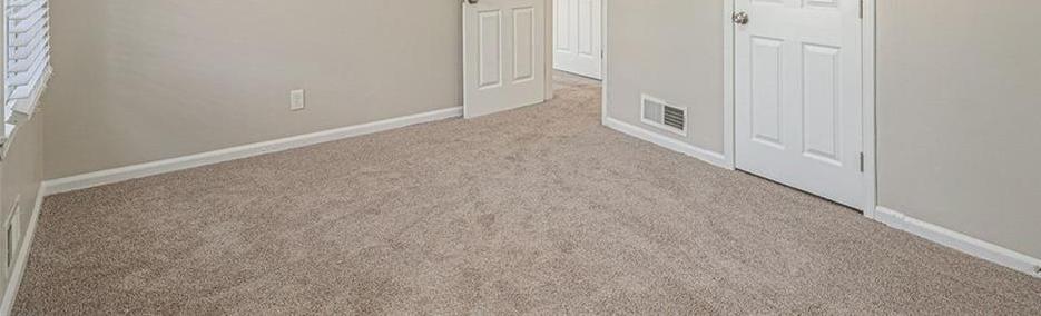 Photo #14