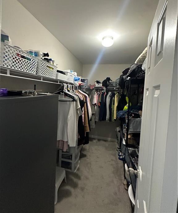 Photo #29