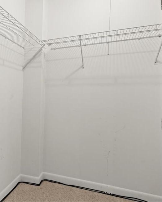 Photo #19