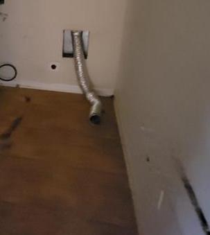 Photo #47