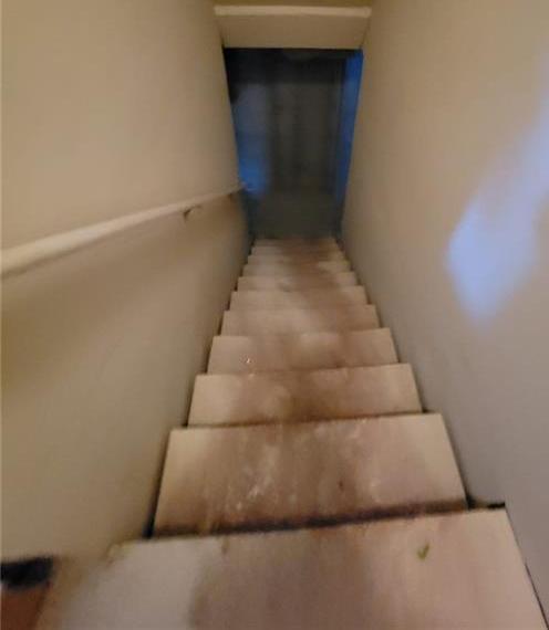 Photo #52