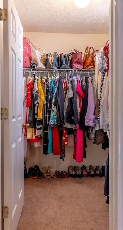 Photo #13