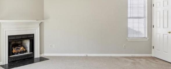 Photo #15