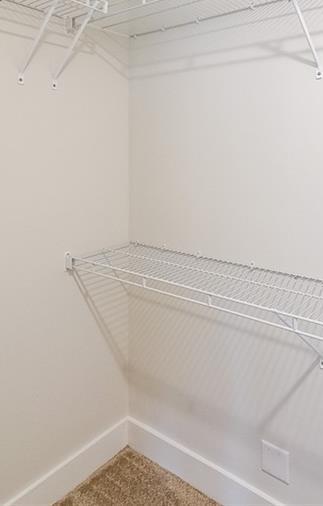 Photo #27